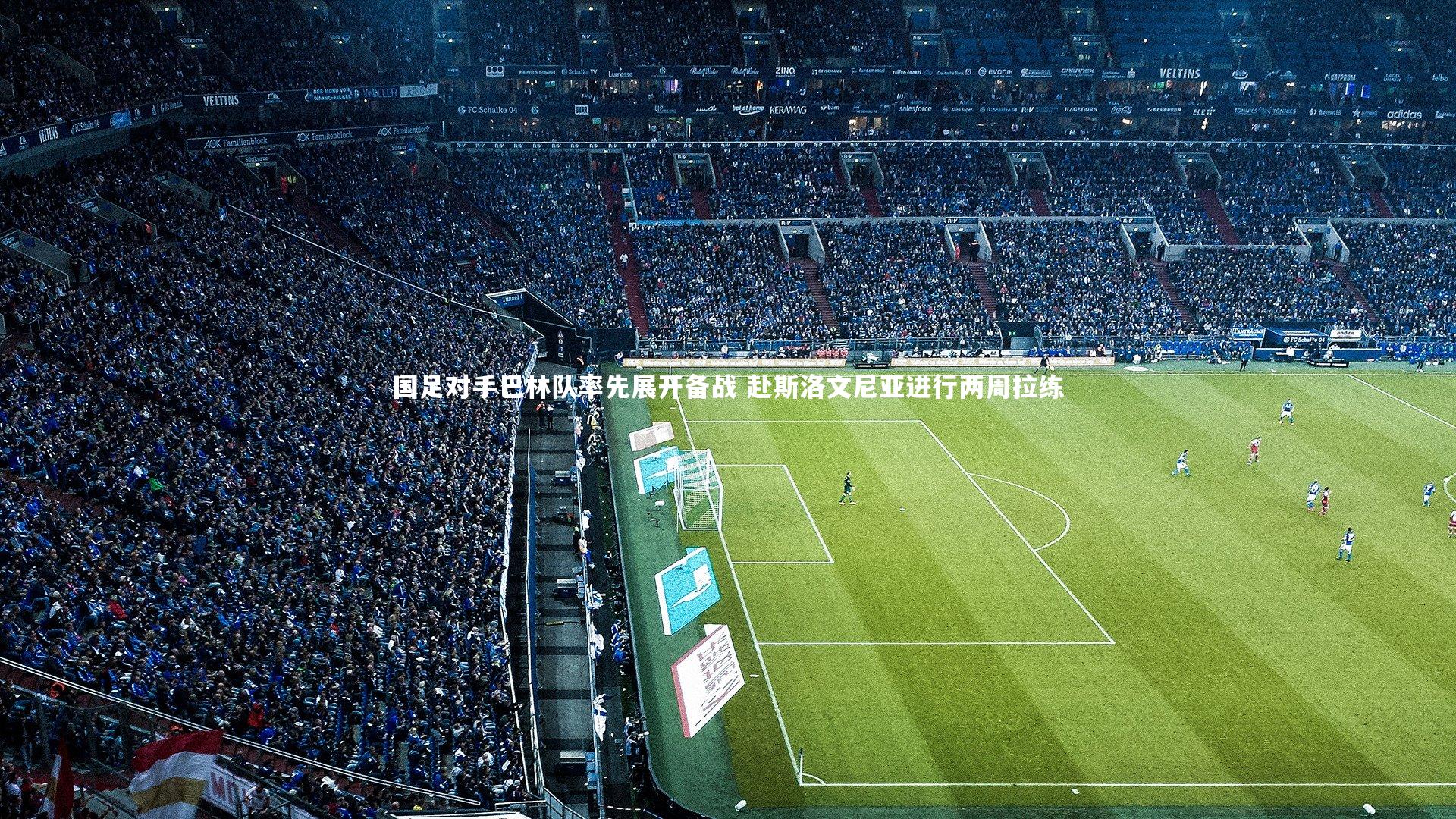 国足对手巴林队率先展开备战 赴斯洛文尼亚进行两周拉练